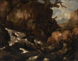 Landscape with a Mountain Torrent