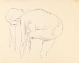 A Bending Female Nude