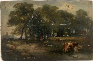 Near Garbally, County Galway