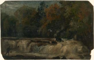 The Salmon Leap, Leixlip, County Kildare