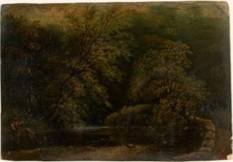 A Fisherman in a Stream