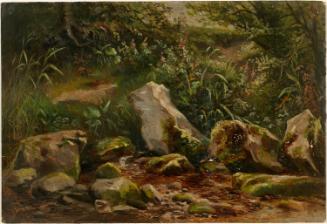 Stepping Stones in a Stream