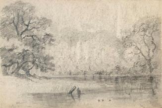 Trees on a Riverbank