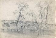 A Bridge and Trees