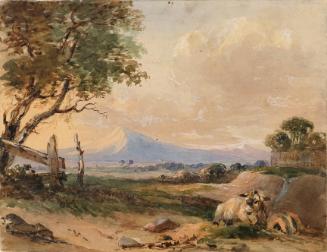 A Resting Donkey and Distant Mountain