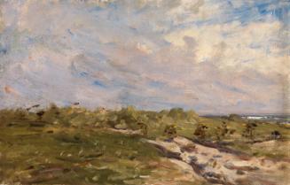 Rough Ground near the Sea
