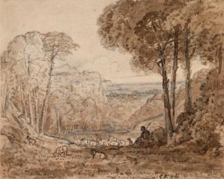 A Shepherd and his Flock