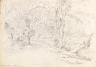 Dark Walk by the River at Rossana