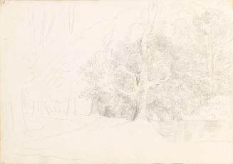 Trees beside a River (1)