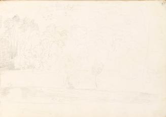 Trees beside a River (2)