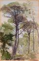 Pine Trees; Sand Dunes on verso