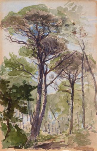 Pine Trees; Sand Dunes on verso