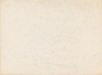 Saint Ciarán's Well, Castlekeeran, County Meath