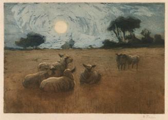 Sheep by Moonlight