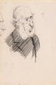An Old Man