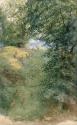 A Deer Park