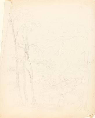 Unfinished Sketch of Trees