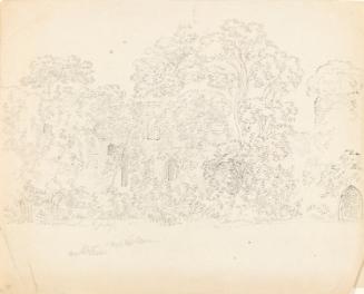 Ruins and Vegetation