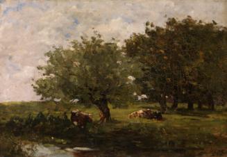 Cattle under Trees