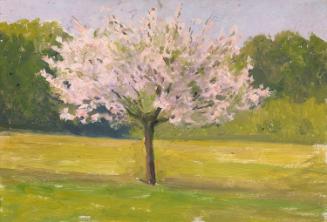 An Apple Tree in Blossom