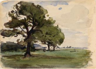 Trees in a Meadow; Cows (on verso)