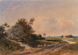 A Country Road in Leicestershire