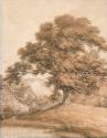 Trees and Cottages