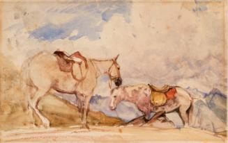 Two Horses