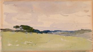 Trees across a Field