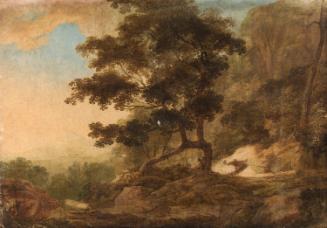 A View of the Dargle