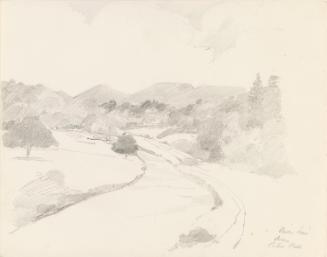 The River Suir near Cahir, County Tipperary