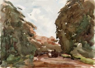 A Road through Woods