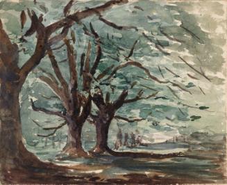 An Avenue of Beeches; Fields and Trees (on verso)