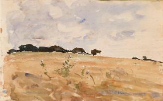 Wild Flowers in a Cornfield; Fields (on verso)