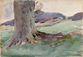 A Tree Trunk; a Blue Mountain (on verso)