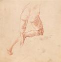 A Male Nude from the Rear