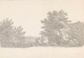 A View towards Wicklow from Mount Kennedy House