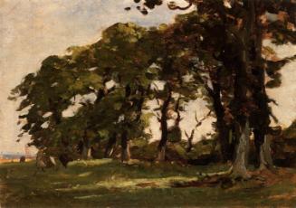 Row of Trees near the Shore