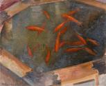 Goldfish