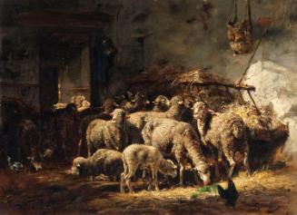 Sheep in a Barn