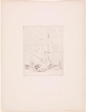 Les Canards (The Ducks)