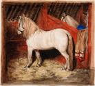 White Horse in a Stable, 'Mon Frère'