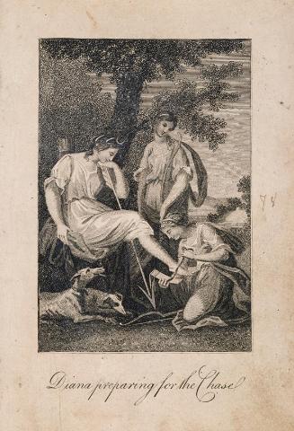 Diana preparing for the Chase