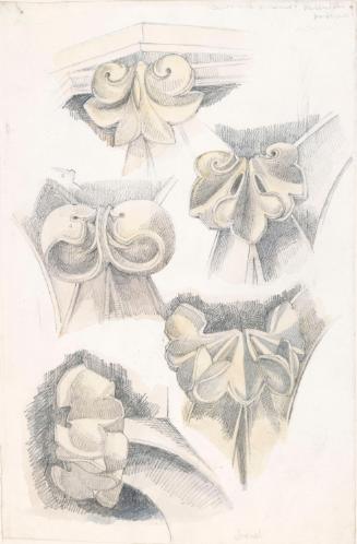 French Foliage Studies