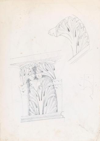 Study of Architectural Foliage