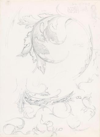 Drawings for Relief Foliage from the Sala del Cambio