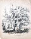 An Oak and a Druid's Temple