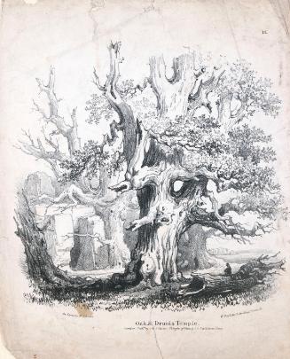 An Oak and a Druid's Temple