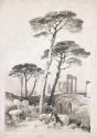 Stone Pines in the Campagna, near Rome