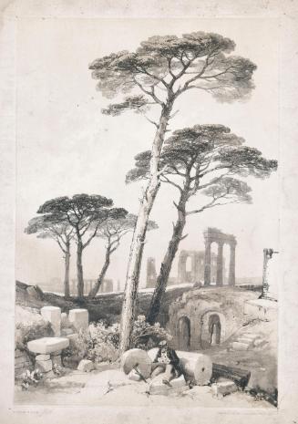 Stone Pines in the Campagna, near Rome